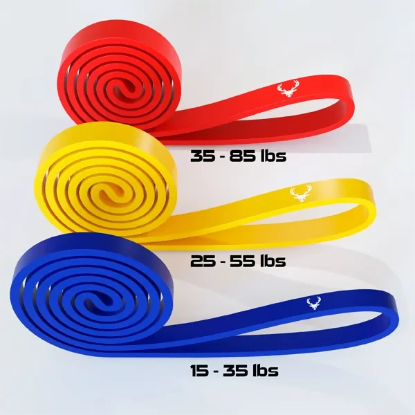 Premium Resistance Bands